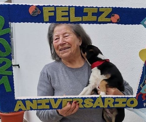 Notícias - Feliz Aniversário :)